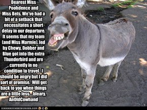 Dispatch #3 to Miss Poohdence