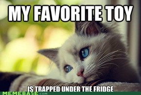 Cat World Problems