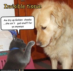 Invisible tissue