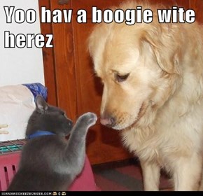 Yoo hav a boogie wite herez