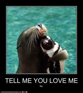 Animal Capshunz: Tell Me You Love Me