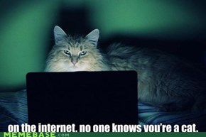 And you wondered why cat pictures were so popular....