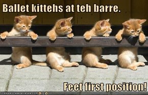 Ballet kittehs at teh barre.  Feet first position!