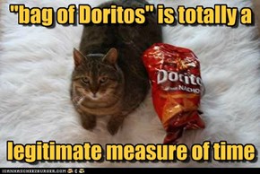 "bag of Doritos" is totally a legitimate measure of time