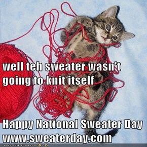 well teh sweater wasn't going to knit itself Happy National Sweater Day  www.sweaterday.com