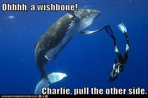 Ohhhh, a wishbone!