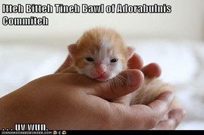 Itteh Bitteh Tineh Bawl of Adorabulnis Commiteh  . . . uv wun.