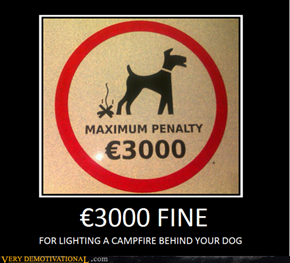 3000 FINE