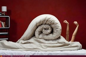 Bed Snail