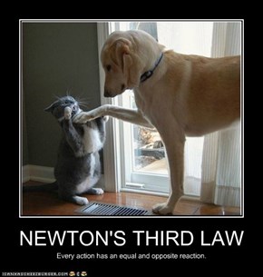 NEWTON'S THIRD LAW