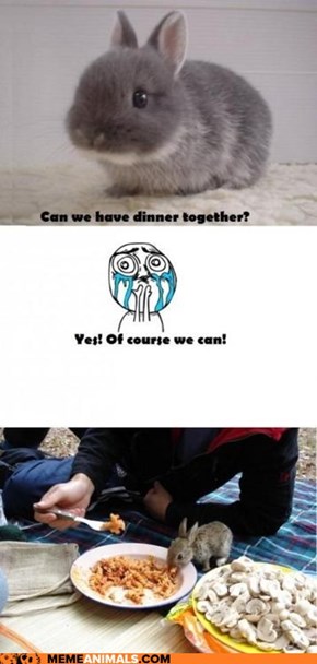 Meme Animals: Interspecies OMNOMNOMS!