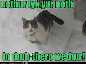 mai thung? no itth not thuck, whai do yu athk?