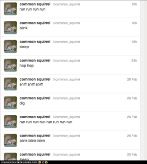 Let's Be Honest, This Is More Entertaining Than Justin Bieber's Twitter Feed