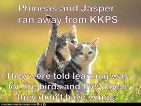 They didn't want a KittenPhd anyhow