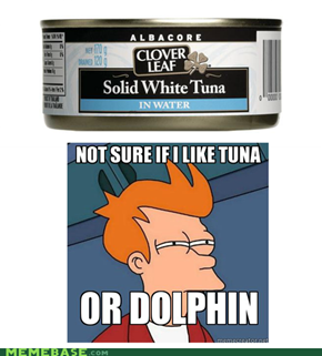 Tuna or Dolphin? that is the question