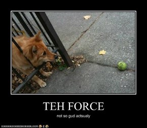TEH FORCE