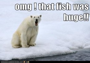 omg ! that fish was huge!!