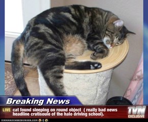Breaking News - cat found sleeping on round object  ( really bad news headline crutisouie of the halo driving school).