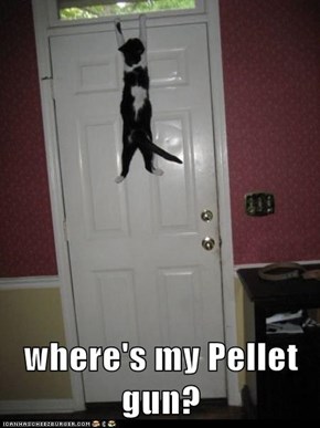 where's my Pellet gun?
