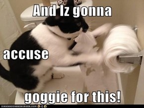 And Iz gonna  accuse goggie for this!