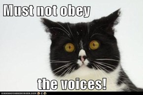 Must not obey  the voices!