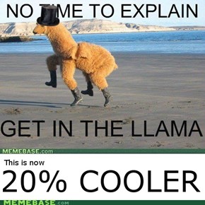 This Llama is 20% cooler