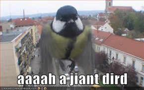 aaaah a jiant dird