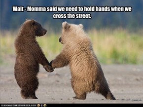 Wait - Momma said we need to hold hands when we cross the street.
