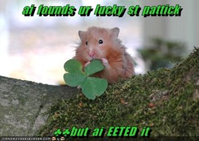 St Patricks' Nom