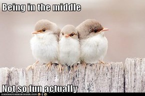 Being in the middle  Not so fun actually