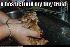 Classic LOLcat