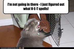 I'm not going in there - I just figured out what V-E-T spells!