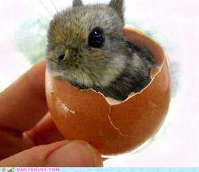 Daily Squee: Which Came First?