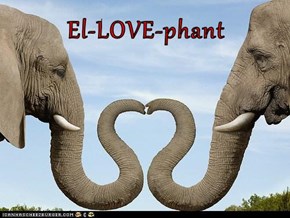 El-LOVE-phant