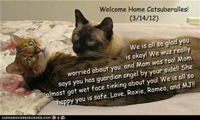 Welcome Home Catsuberalles! (3/14/12)