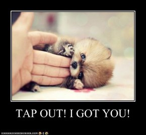 Cyoot Puppy ob teh Day: Iz a Graet at Wrastlings!