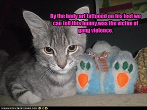 CSI cat is on the case.