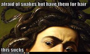 afraid of snakes but have them for hair  this sucks
