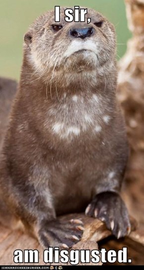 Animal Capshunz: Otterly Disgusted, I am