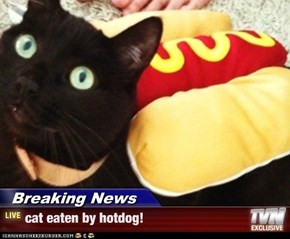 Breaking News - cat eaten by hotdog!