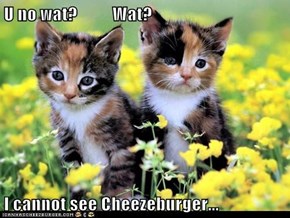U no wat?          Wat?  I cannot see Cheezeburger...