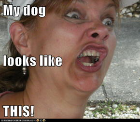 My dog looks like THIS!