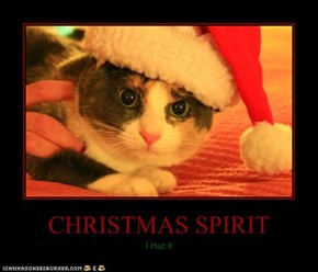 CHRISTMAS SPIRIT