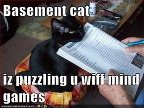 Basement cat  iz puzzling u wiff mind games