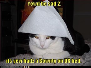 Classic LOLcat
