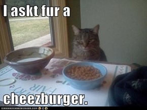 I askt fur a  cheezburger.