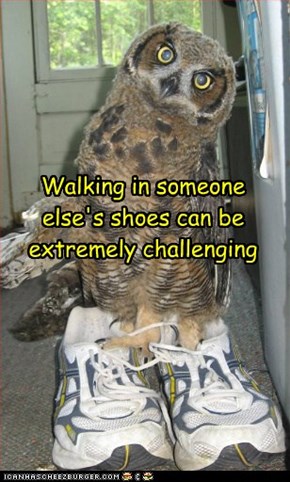 You Don't Have to Be So Literowl