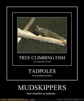 MUDSKIPPERS