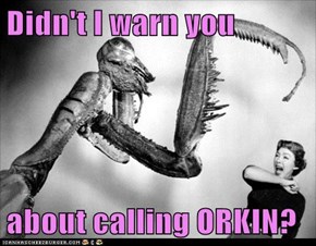 Didn't I warn you   about calling ORKIN?