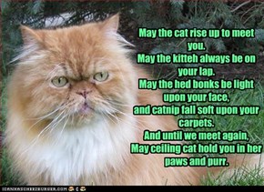 A kitteh's blessing